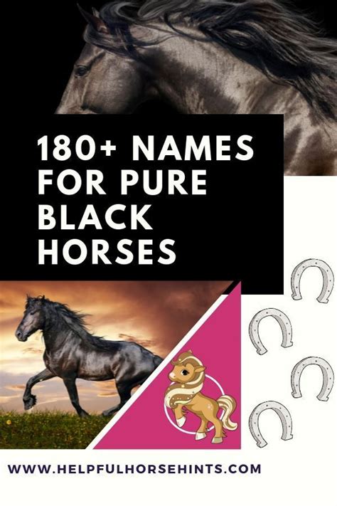 180+ Names for Black Horses | Black horses, Horses, Dressage horses