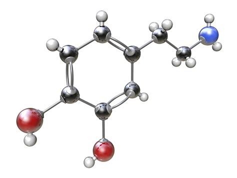 Bonds Definition and Examples in Chemistry | Chemical bond, Chemistry, Bond