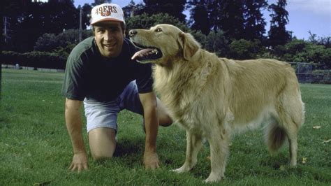 Former 'Air Bud' Cast Member Reveals he was Sexually Assaulted by Stunt ...