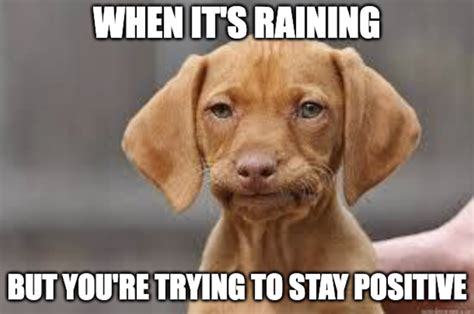 'Is It Going To Rain Today?' Memes to Brighten Your Day | FamilyMinded