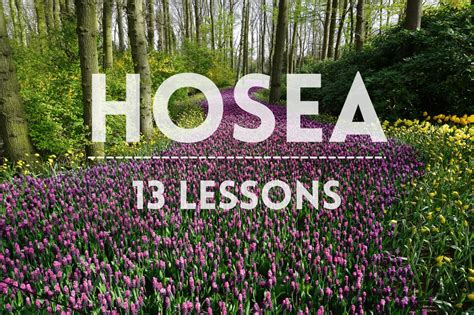 Hosea Inductive Bible Study Guide - 13 Online Lessons With Questions