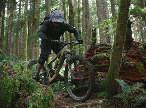 What Is a 29er Mountain Bike? And Why You Should Get One