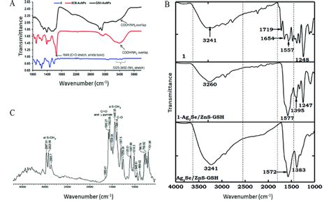 FT-IR spectra representing (A) amide bond formation between an ...