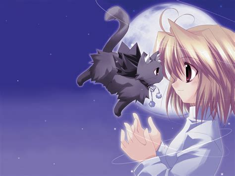 🔥 [40+] Cute Anime Cat Wallpapers | WallpaperSafari