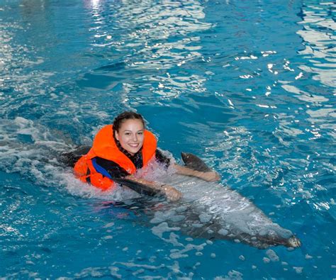 Dubai Dolphinarium – Deep Water (Swimming) - Al Nahdi Travels