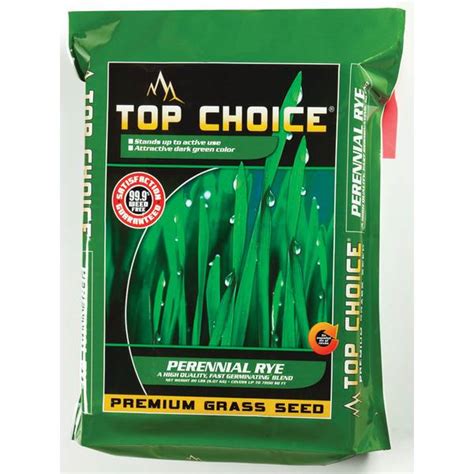 Top Choice Perennial Rye Premium Grass Seed