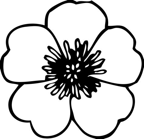 Poppy clipart black and white, Poppy black and white Transparent FREE ...