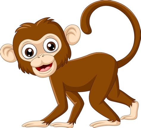 Monkey Vectors & Illustrations for Free Download | Freepik