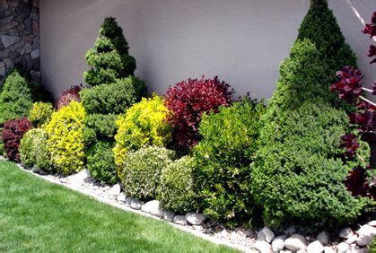 Best Shrubs & Bushes Landscaping Designs Ideas & Pictures