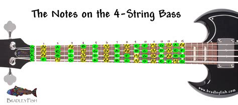 6 String Bass Guitar Notes