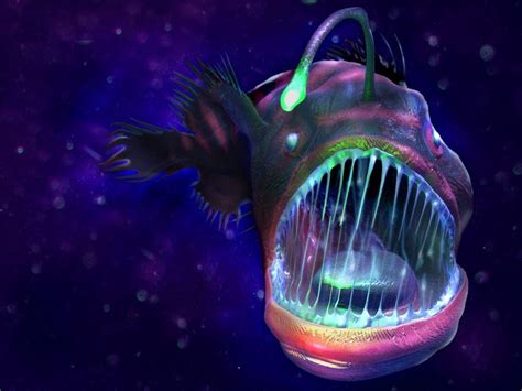 The deep sea dwelling Angler Fish | Angler fish, Deep sea creatures ...