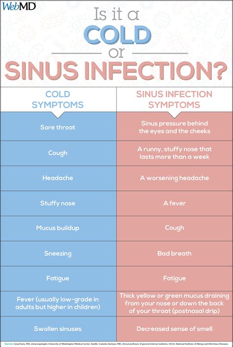 When a Cold Becomes a Sinus Infection | Sinus infection, Sinusitis ...