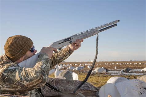 Best Budget Waterfowl Hunting Shotguns Under $1,000 - Wildfowl