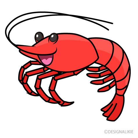 shrimp clipart images 10 free Cliparts | Download images on Clipground 2024