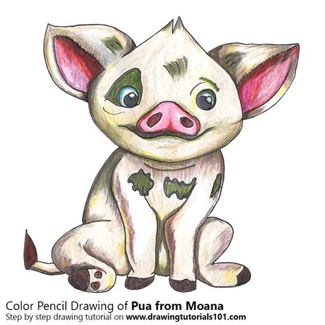 How to Draw Pua from Moana (Moana) Step by Step | DrawingTutorials101.com