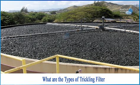 What are the types of Trickling filter - Netsol Water