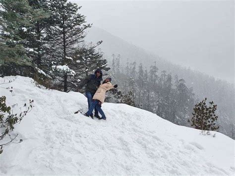 Snowfall In Sikkim - An Informational Photo Blog