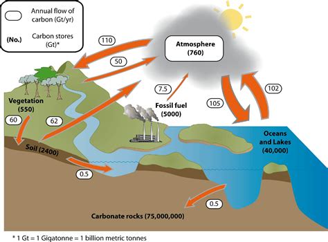 Soil carbon | Environment, land and water | Queensland Government