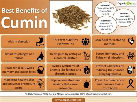 Health Benefits Of Cumin | Health benefits of cumin, Cumin benefits ...