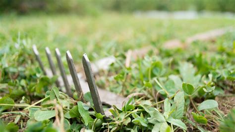 Simple 3 Steps DIY Lawn Leveling Rake - GearDefine