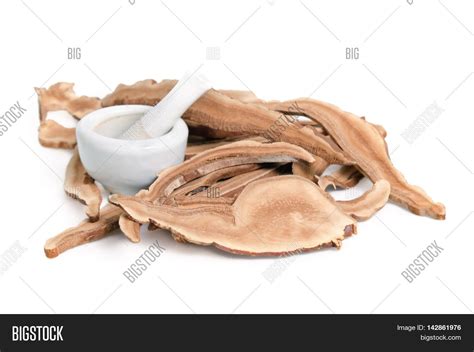 Lingzhi Mushroom, Image & Photo (Free Trial) | Bigstock