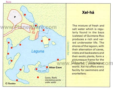 xel-ha-map | Vacation activities, Trip advisor, Mayan cities