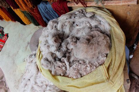 Why Alpaca is the Most Sustainable Animal on Earth | Alpaca Wool