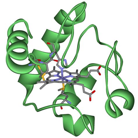 World of Biochemistry (blog about biochemistry): Cellular respiration ...