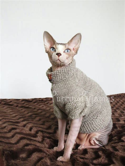 13 Adorable Outfits And Accessories For Your Cat Because You're 100 ...