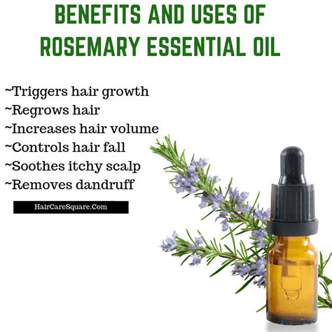 How To Use Rosemary Essential Oil For Hair Growth & Hair Loss? Why It ...