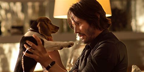 Keanu Reeves Puppy Video Will Remind You Why John Wick Was So Mad