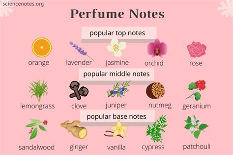 Sale > top notes perfume list > in stock