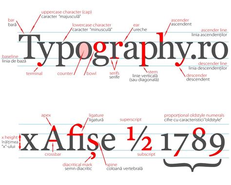 Type Anatomy Research. | Lettering, Type anatomy, Anatomy of typography