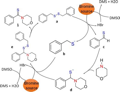 Plausible Reaction Mechanism for the Formation of thioamide 1 ...