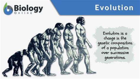 Evolution Definition and Examples - Biology Online Dictionary