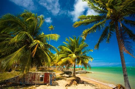 Praia Patacho | Viagem e Turismo