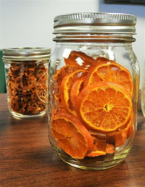 47 Food Dehydrator Recipes! - The Organic Goat Lady