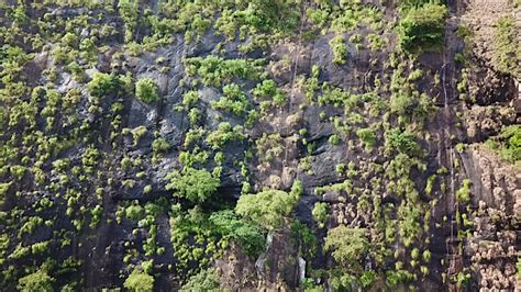 A hidden mountain rainforest has been uncovered using Google Earth ...