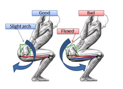 5 Keys to Strengthening Your Knees at the GYM! | Leaders Sports & Spine ...