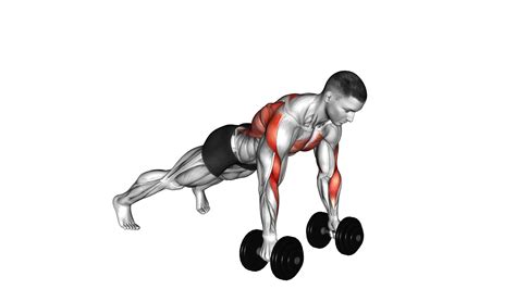 Dumbbell Renegade Row: Video Guide & Tips