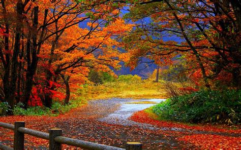 Autumn Wallpapers Pictures - Wallpaper Cave