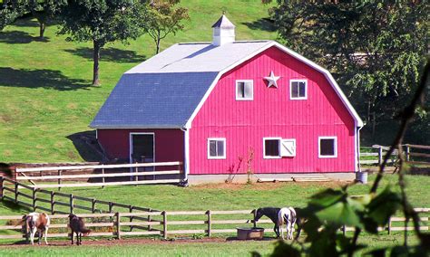 Pink Barn In The Summer Photograph by Duane McCullough