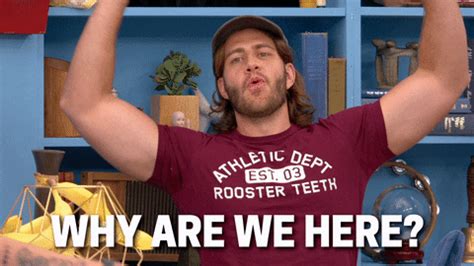 Why Are We Here Last Laugh GIF by Rooster Teeth - Find & Share on GIPHY