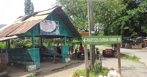 Davao Partoza Durian Farm Tour with Lunch & Transfers | G...