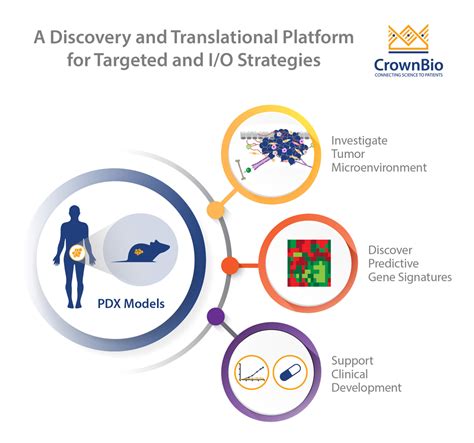 Novel Uses for PDX Models in Preclinical Drug Development