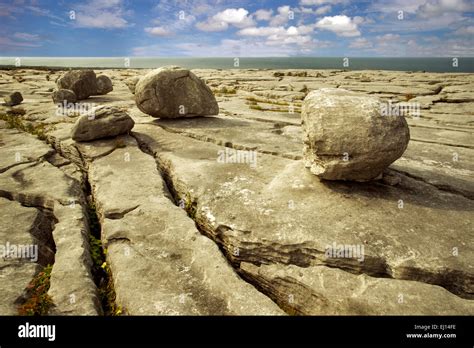 Karst landscape. The Burren, County Clare. Ireland Stock Photo, Royalty ...