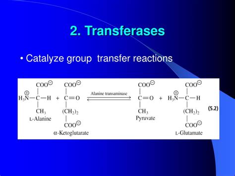 PPT - Properties of Enzymes PowerPoint Presentation, free download - ID ...