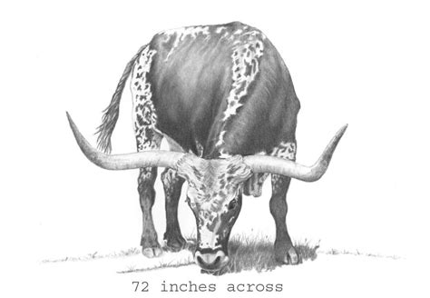 longhorn cattle drawing sketch | Farm animal paintings, Deer drawing ...