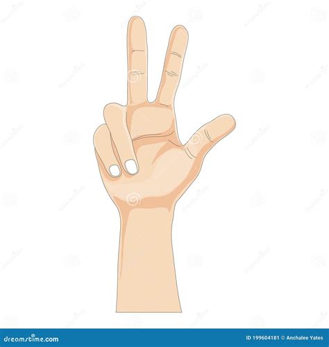 One Hands Showing Three Fingers on White Background, Vector ...