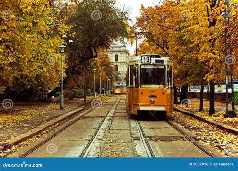 Trams in Europe stock photo. Image of people, traditional - 3807916